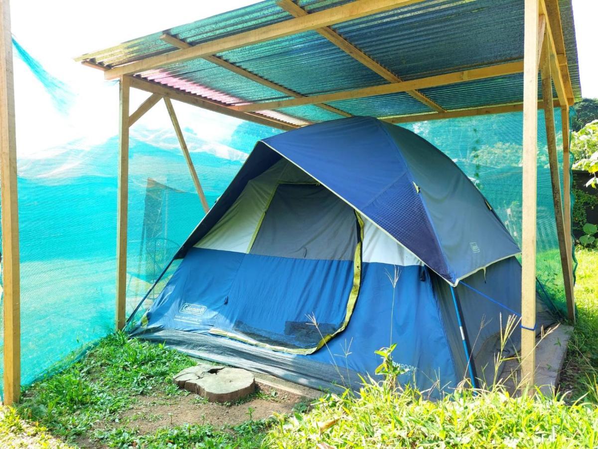 Rustico Arenal B&B La Fortuna ภายนอก รูปภาพ