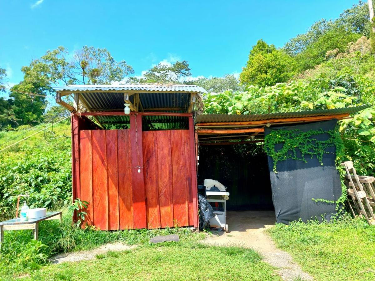 Rustico Arenal B&B La Fortuna ภายนอก รูปภาพ